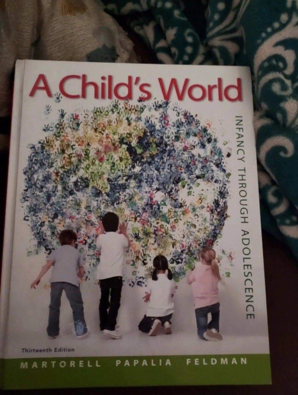 A Child's World Textbook Hardcover